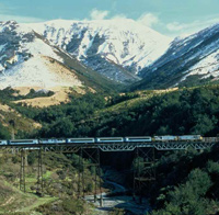 Tranz Alpine Train